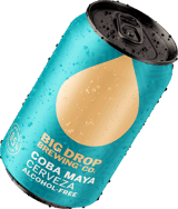 Coba Maya