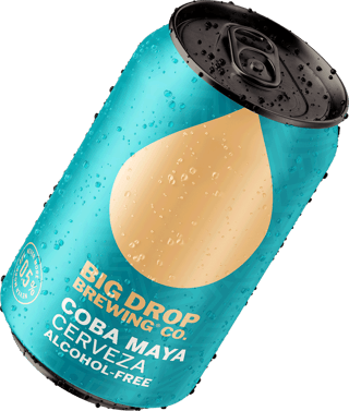 Coba Maya