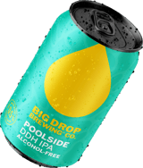 Poolside DDH IPA