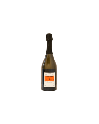Neue Brut