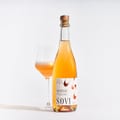 The Wild Child Sparkling Orange