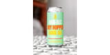 A Non-Alc Dry Hopped Sour V1