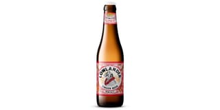 Non-Alc Ginger Beer