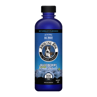 Blueberry Lemonade