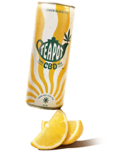Lemon Black Iced Tea & Hemp CBD