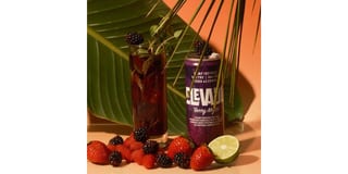 Berry Mojito