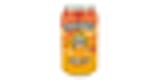 Sunny-G Fruit Tonic