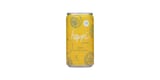 Lemon Elderflower Seltzer
