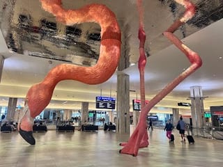 Tampa International Airport (tpa) (tampa International Airport)