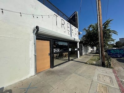 Trees Of Echo Park