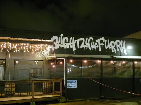 Slightly Furry