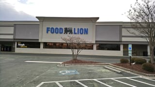 Food Lion #528
