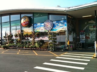 Shoprite #294