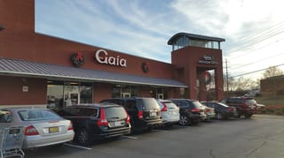 Gaia
