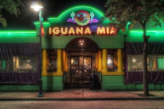 Iguana Mia