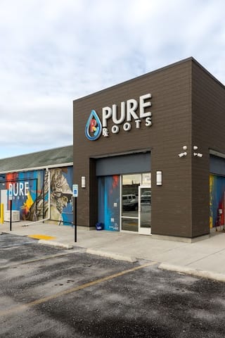 Pure Roots Lansing