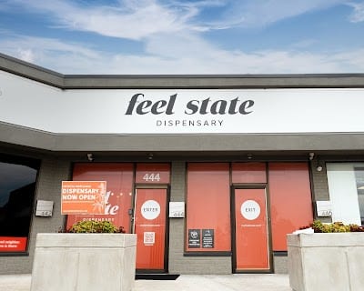 Feel State