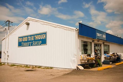 Treasure for cheap