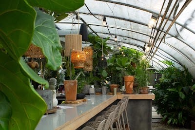 Greenhouse Bar