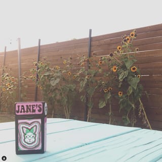 Lady Jane's Naturals LLC