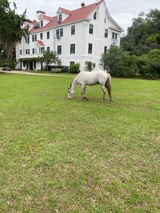 Greyfield Inn