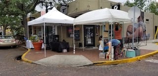 The Falcon Gallery