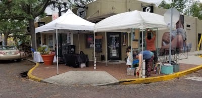 The Falcon Gallery