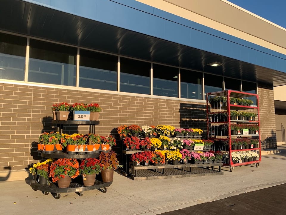 Meijer