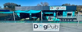 Dog Pub Social