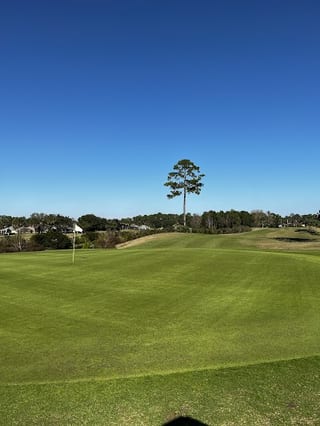 Royal St. Augustine Golf & CC