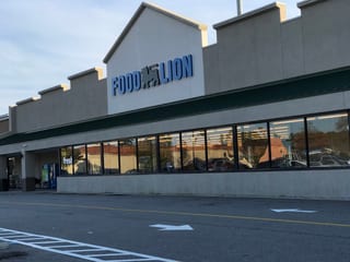 Food Lion #487
