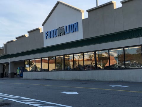 Food Lion #487