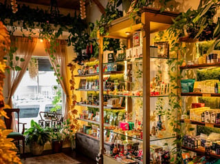 The Other Path CBD Store