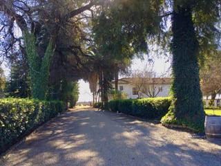 Durst Winery