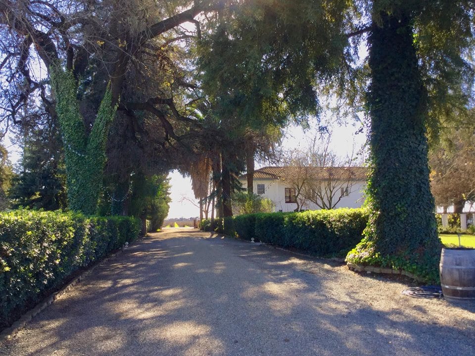 Durst Winery