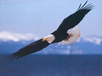 Eagles Lodge