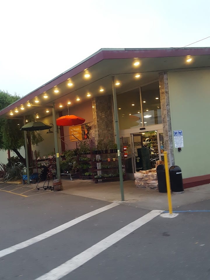Wildberries Marketplace - 00820001