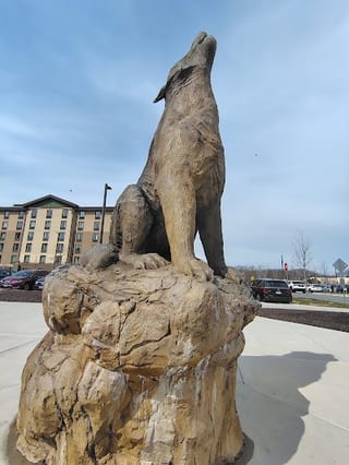 Great Wolf Lodge