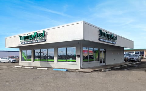 Turning Leaf Minot