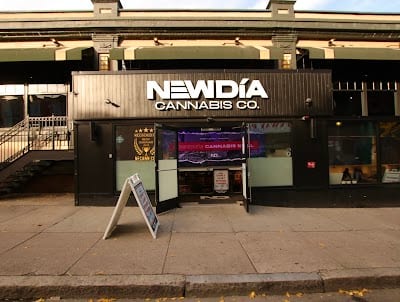New Dia - Fenway