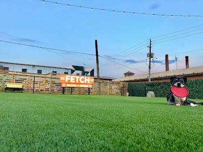 Fetch Atl