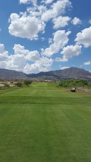 Golden Tee