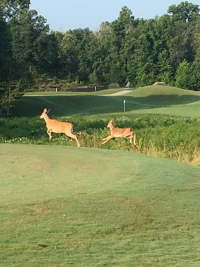 Verdict Ridge Country Club