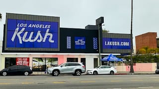 Los Angeles Kush - Hollywood