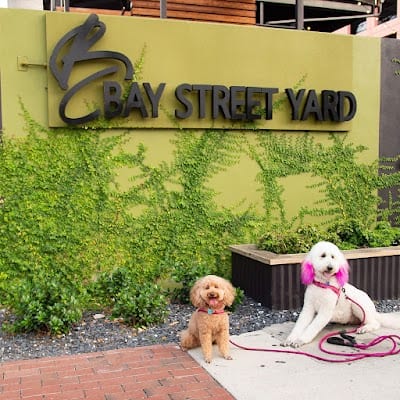Bay Street Yard