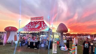 Bliss Wellness Market