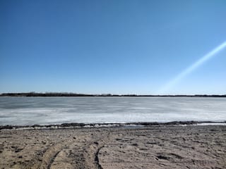 The Dry Pelican