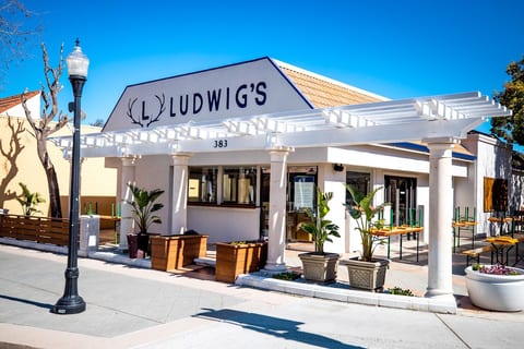 Ludwigs