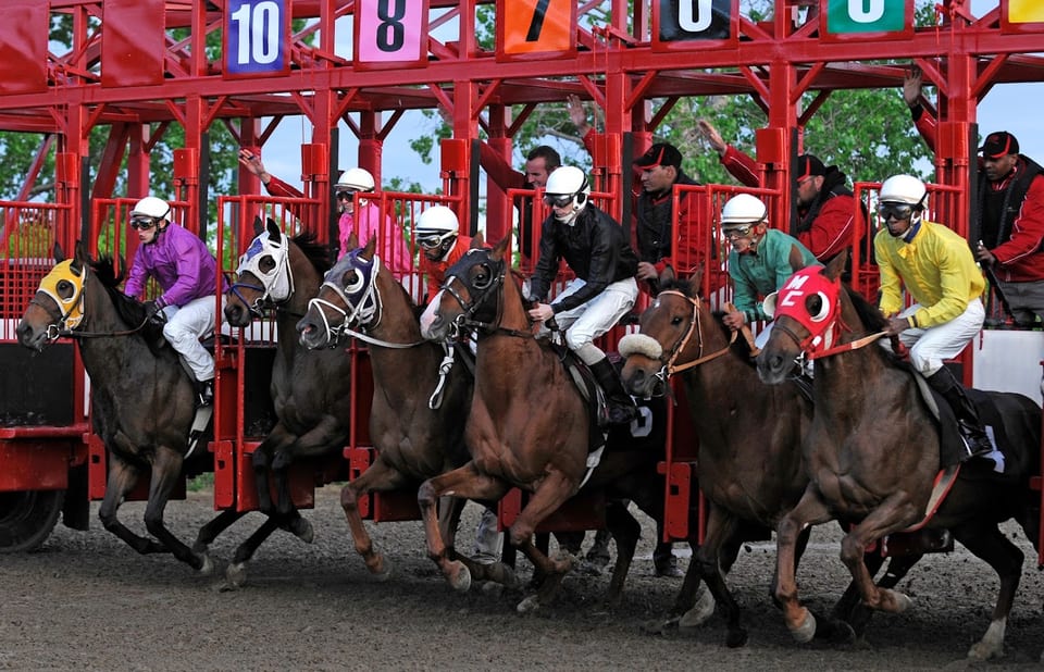 Assiniboia Downs