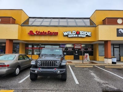 Wild Side Smoke Shop St Pete